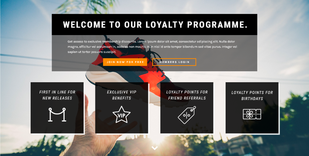 case study loyalty schemes