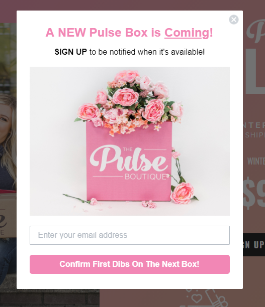 A screenshot showing The Pulse Boutique's branded Stylebox pop up.