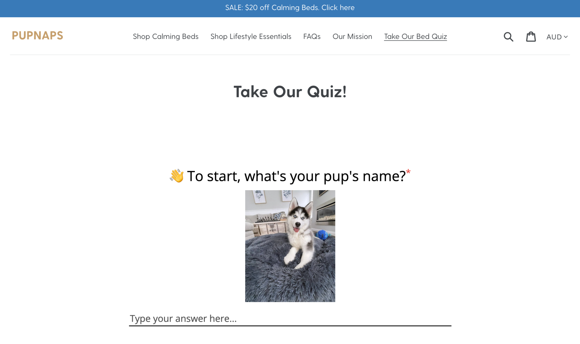 11 Pet Shopify Stores Leading the Pack Shopify Plus Agency