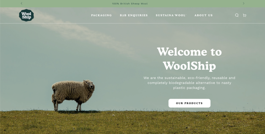 Homepage screenshot of WoolShip: Swanky's new ecommerce business