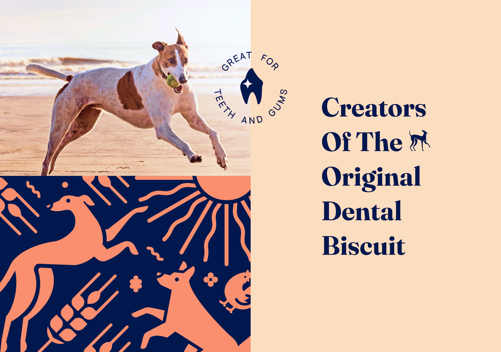 Three images combined in this screenshot: top left shows a greyhound on a beach, bottom left shows how Farrell's icons can be used together, image on right displays the text 'Creators of the Original Dental Biscuit'.