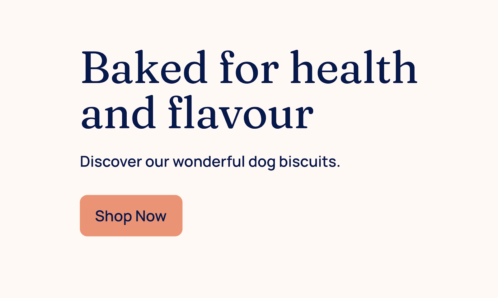Screenshot of CTA example, text 'Baked for health and flavour' with subheadinf and CTA button showing 'shop now'.